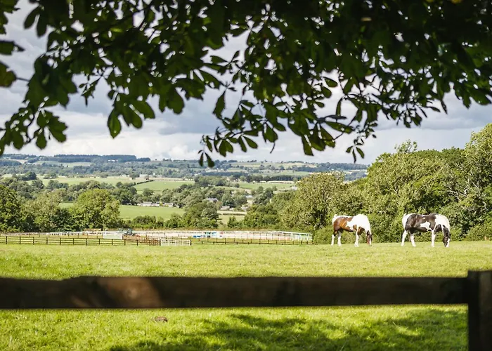 Ferienhaus Sun Hill *