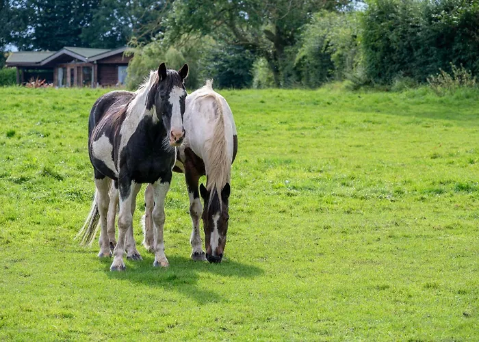 Ferienhaus Sun Hill *