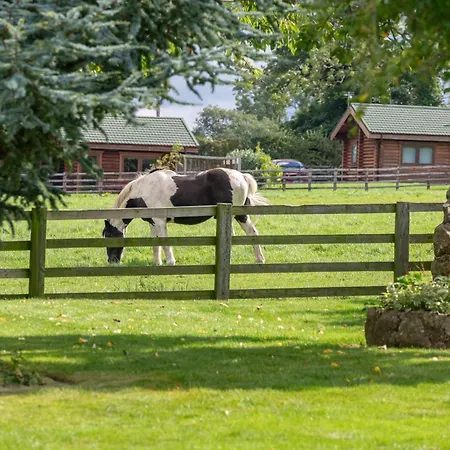 Sun Hill * 레이번